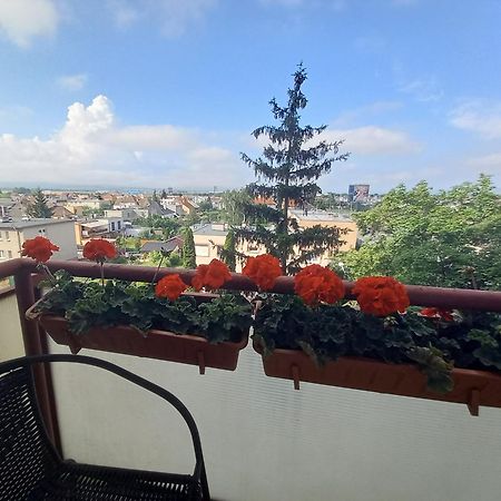 Apartman Lienka Free Parking City Centre เตร็นชีน ภายนอก รูปภาพ