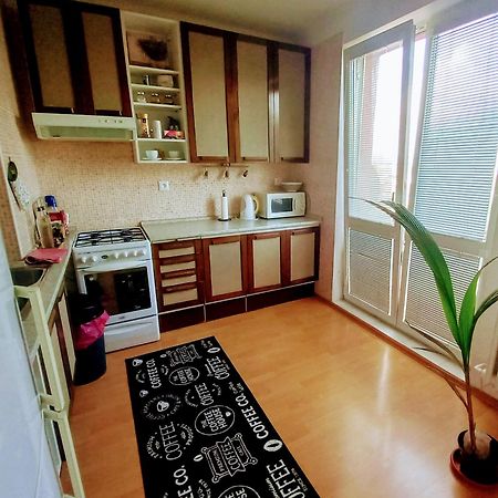 Apartman Lienka Free Parking City Centre เตร็นชีน ภายนอก รูปภาพ