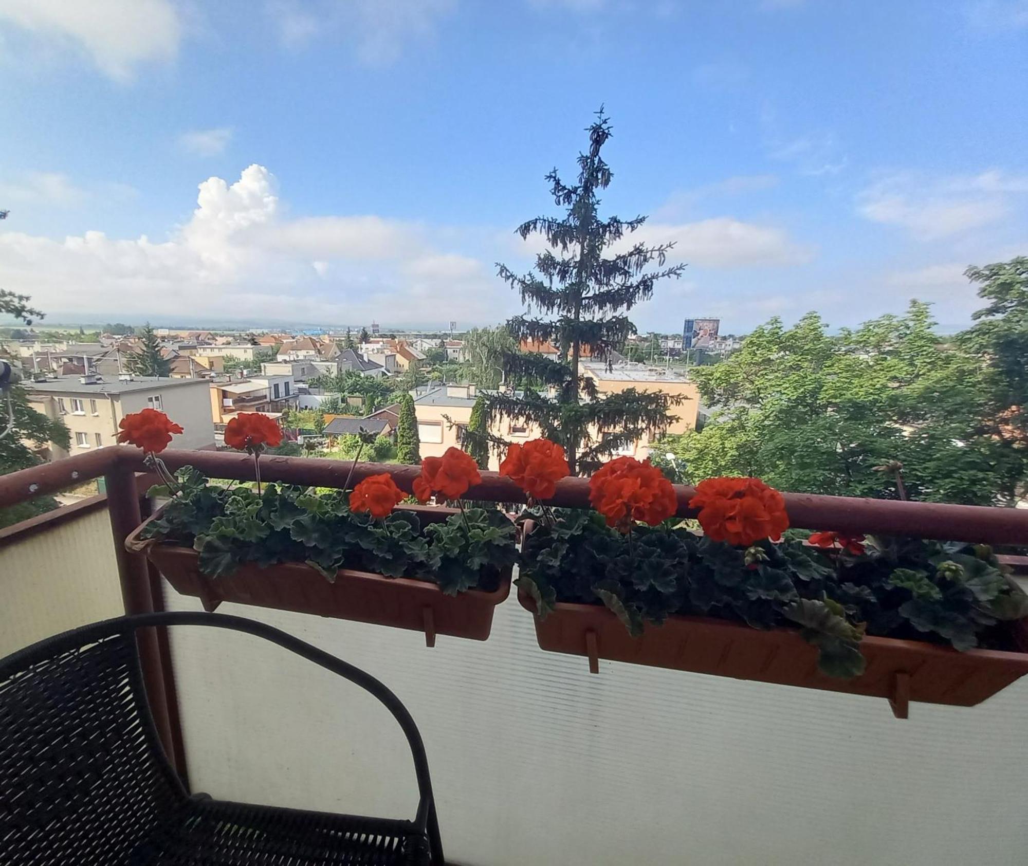 Apartman Lienka Free Parking City Centre เตร็นชีน ภายนอก รูปภาพ